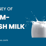 The Journey of Farm-Fresh Milk: From Grass to Glass